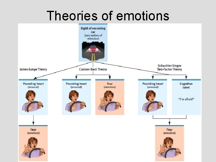 Theories of emotions Theories of emotions