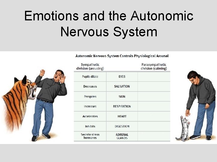 Emotions and the Autonomic Nervous System Emotions and the Autonomic Nervous System