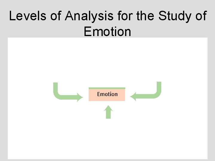 Levels of Analysis for the Study of Emotion Levels of Analysis for the Study of Emotion