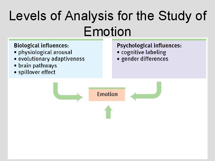 Levels of Analysis for the Study of Emotion Levels of Analysis for the Study of Emotion