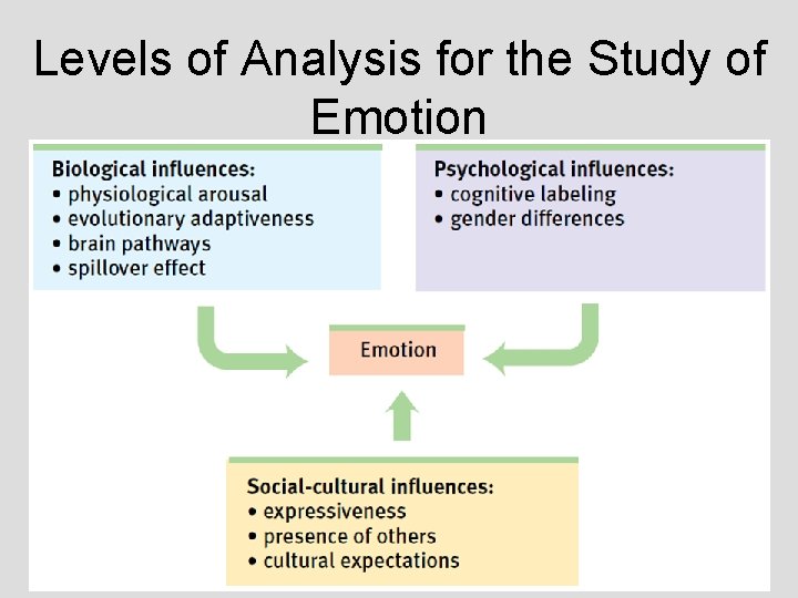 Levels of Analysis for the Study of Emotion Levels of Analysis for the Study of Emotion