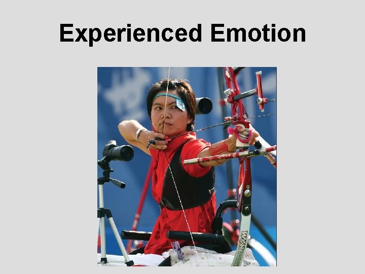 Experienced Emotion Experienced Emotion
