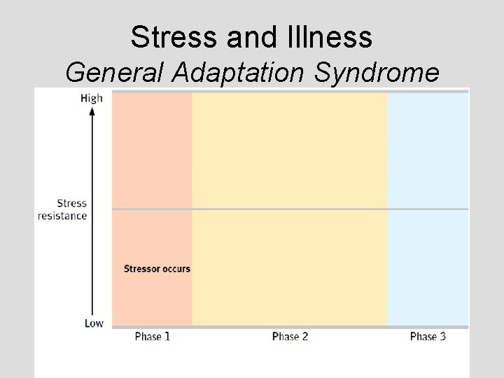 Stress and Illness General Adaptation Syndrome Stress and Illness General Adaptation Syndrome