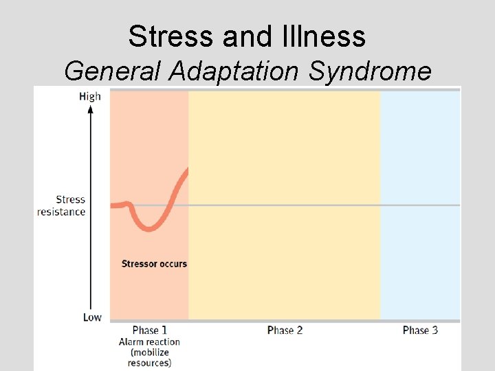 Stress and Illness General Adaptation Syndrome Stress and Illness General Adaptation Syndrome