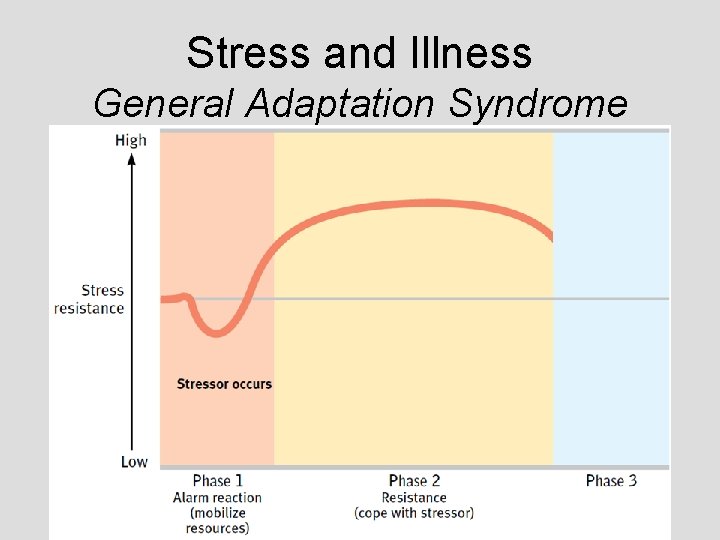 Stress and Illness General Adaptation Syndrome Stress and Illness General Adaptation Syndrome