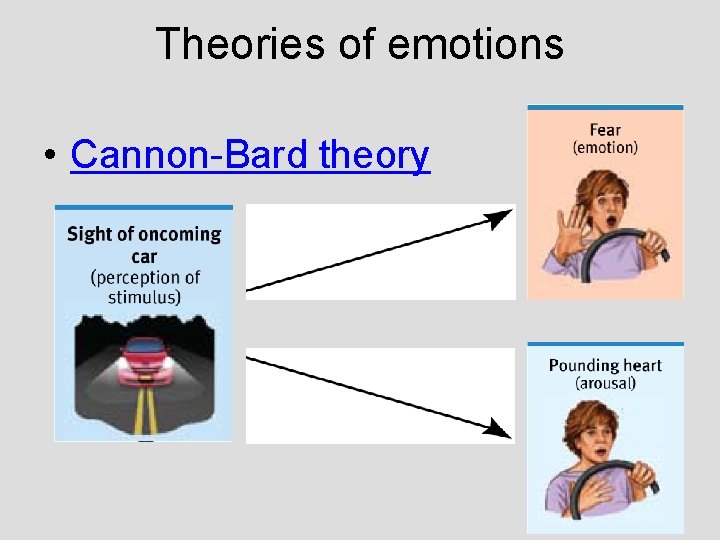 Theories of emotions • Cannon-Bard theory Theories of emotions • Cannon-Bard theory