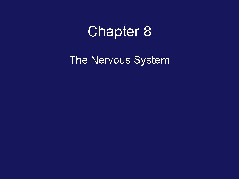 Chapter 8 The Nervous System 