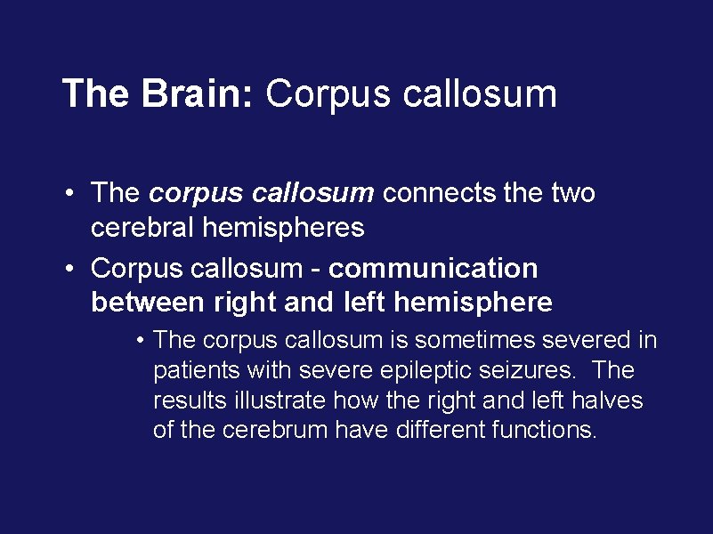 The Brain: Corpus callosum • The corpus callosum connects the two cerebral hemispheres •