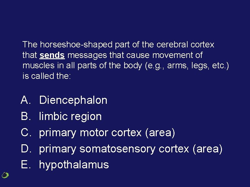 The horseshoe-shaped part of the cerebral cortex that sends messages that cause movement of