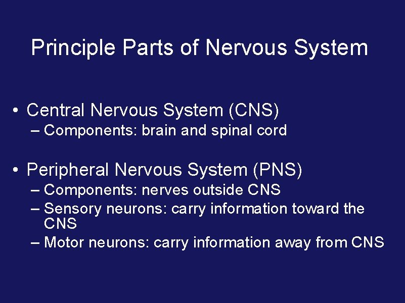 Principle Parts of Nervous System • Central Nervous System (CNS) – Components: brain and