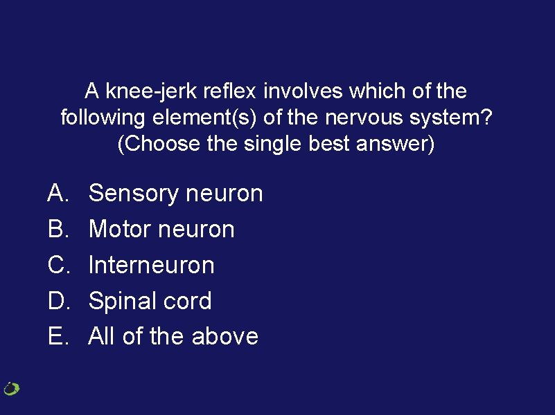 A knee-jerk reflex involves which of the following element(s) of the nervous system? (Choose