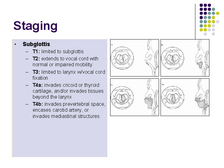 Staging l • Supraglottis Glottis Subglottis l– l – – – l – l