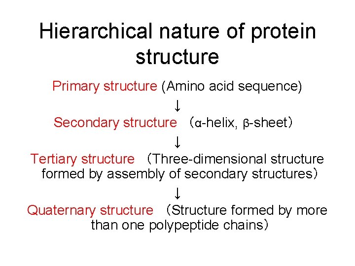 Hierarchical nature of protein structure Primary structure (Amino acid sequence) ↓ Secondary structure （α-helix,