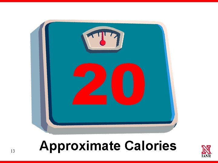 20 13 Approximate Calories 