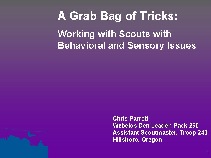 A Grab Bag of Tricks: Working with Scouts with Behavioral and Sensory Issues Chris