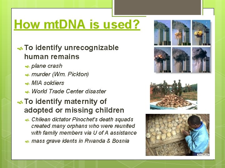 How mt. DNA is used? To identify unrecognizable human remains plane crash murder (Wm. How mt. DNA is used? To identify unrecognizable human remains plane crash murder (Wm.