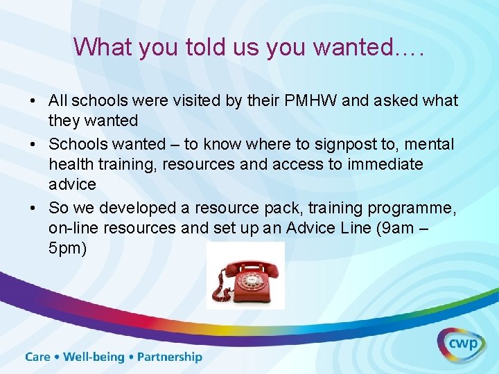 What you told us you wanted…. • All schools were visited by their PMHW