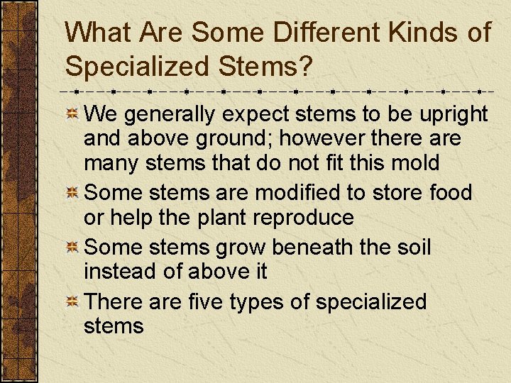 What Are Some Different Kinds of Specialized Stems? We generally expect stems to be