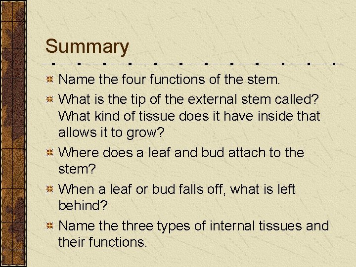 Summary Name the four functions of the stem. What is the tip of the