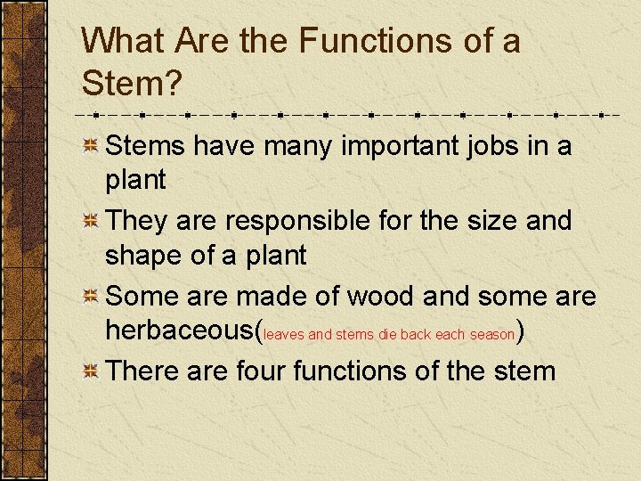 What Are the Functions of a Stem? Stems have many important jobs in a