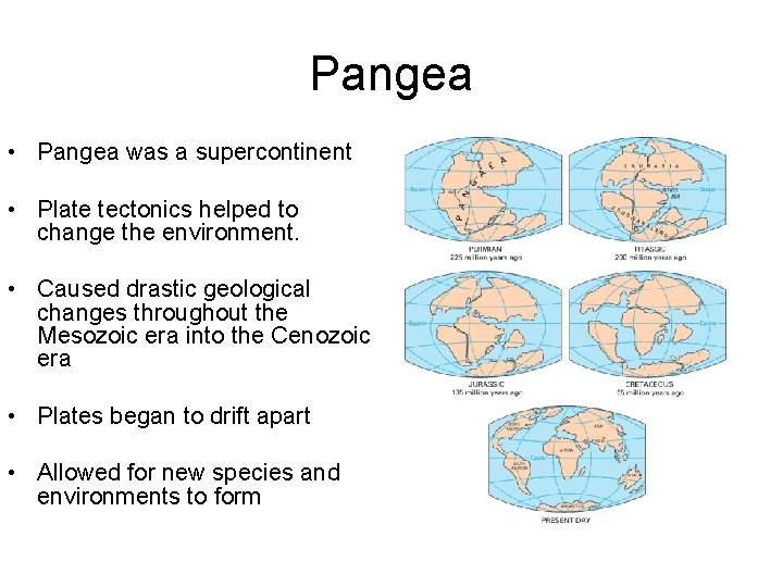 Pangea • Pangea was a supercontinent • Plate tectonics helped to change the environment.