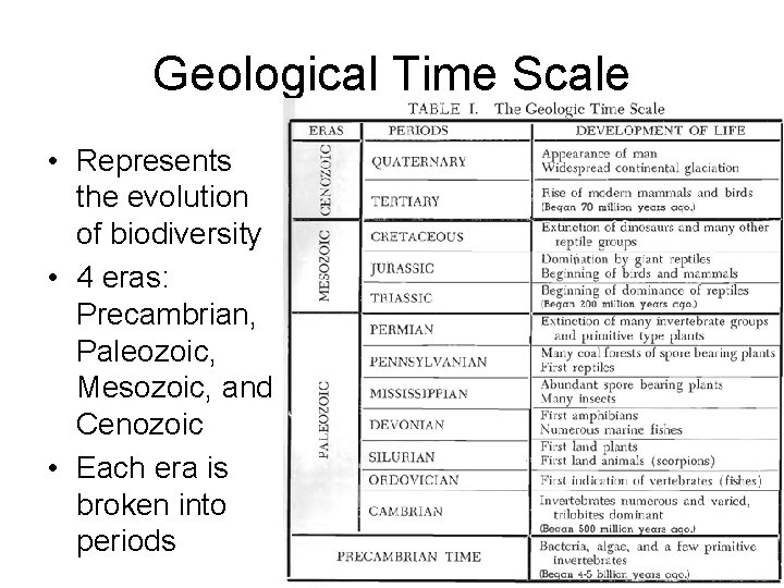 Geological Time Scale • Represents the evolution of biodiversity • 4 eras: Precambrian, Paleozoic,