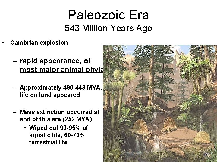 Paleozoic Era 543 Million Years Ago • Cambrian explosion – rapid appearance, of most