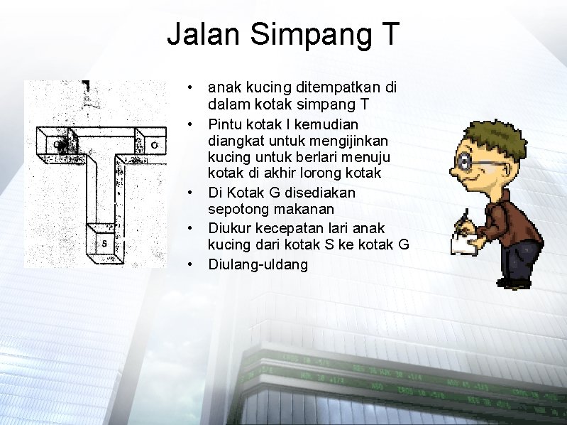 Jalan Simpang T • anak kucing ditempatkan di dalam kotak simpang T • Pintu