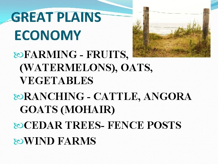 GREAT PLAINS ECONOMY FARMING - FRUITS, (WATERMELONS), OATS, VEGETABLES RANCHING - CATTLE, ANGORA GOATS