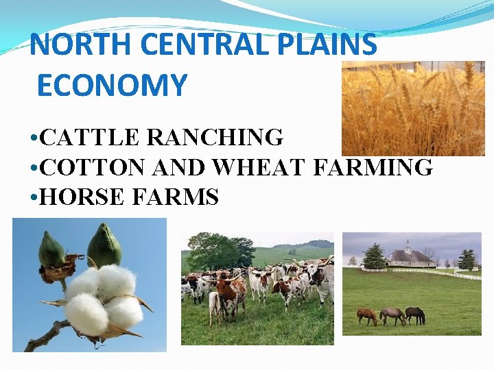 NORTH CENTRAL PLAINS ECONOMY • CATTLE RANCHING • COTTON AND WHEAT FARMING • HORSE