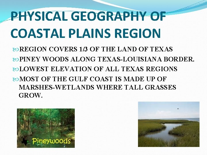 PHYSICAL GEOGRAPHY OF COASTAL PLAINS REGION COVERS 1/3 OF THE LAND OF TEXAS PINEY