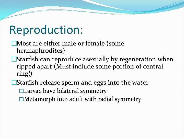 Reproduction: �Most are either male or female (some hermaphrodites) �Starfish can reproduce asexually by