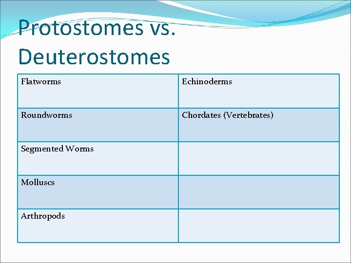 Protostomes vs. Deuterostomes Flatworms Echinoderms Roundworms Chordates (Vertebrates) Segmented Worms Molluscs Arthropods 