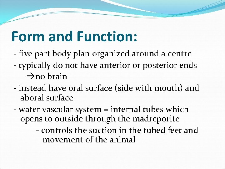 Form and Function: - five part body plan organized around a centre - typically