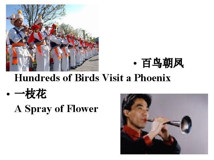  • 百鸟朝凤 Hundreds of Birds Visit a Phoenix • 一枝花 A Spray of