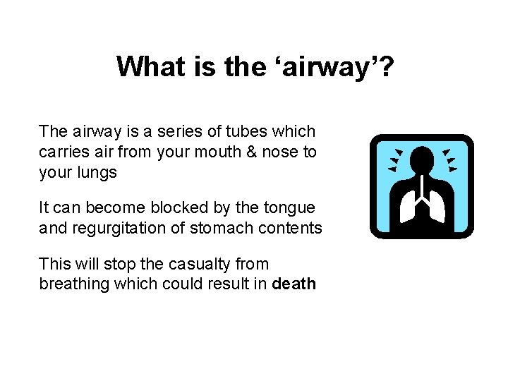 What is the ‘airway’? The airway is a series of tubes which carries air