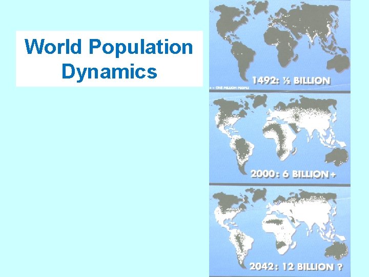 World Population Dynamics 