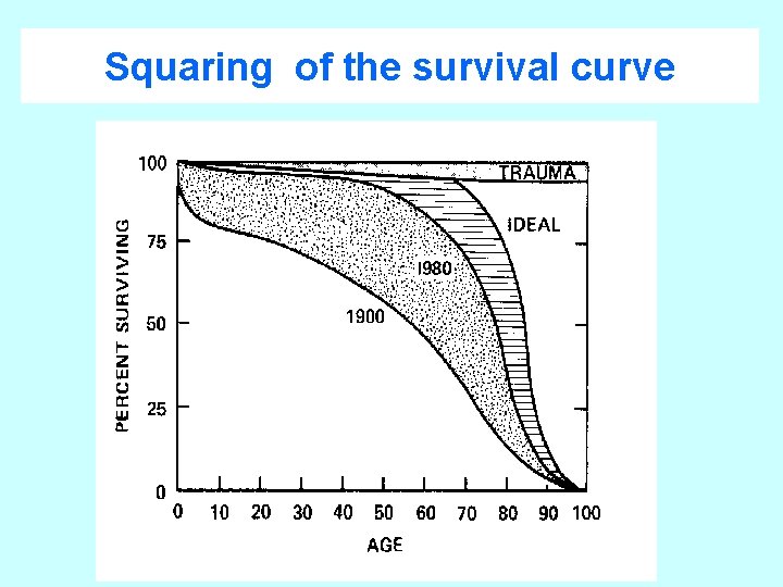 Squaring of the survival curve 