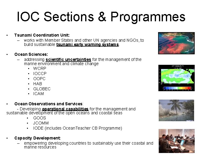 IOC Sections & Programmes • Tsunami Coordination Unit: – works with Member States and IOC Sections & Programmes • Tsunami Coordination Unit: – works with Member States and