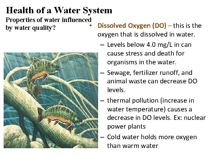 Health of a Water System Properties of water influenced • Dissolved Oxygen (DO) –