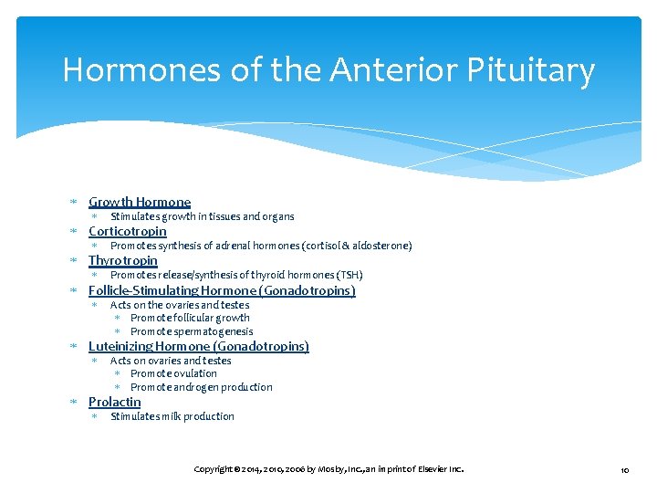 Hormones of the Anterior Pituitary Growth Hormone Stimulates growth in tissues and organs Promotes