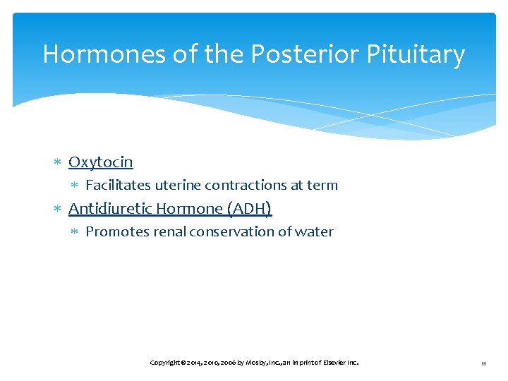 Hormones of the Posterior Pituitary Oxytocin Facilitates uterine contractions at term Antidiuretic Hormone (ADH)