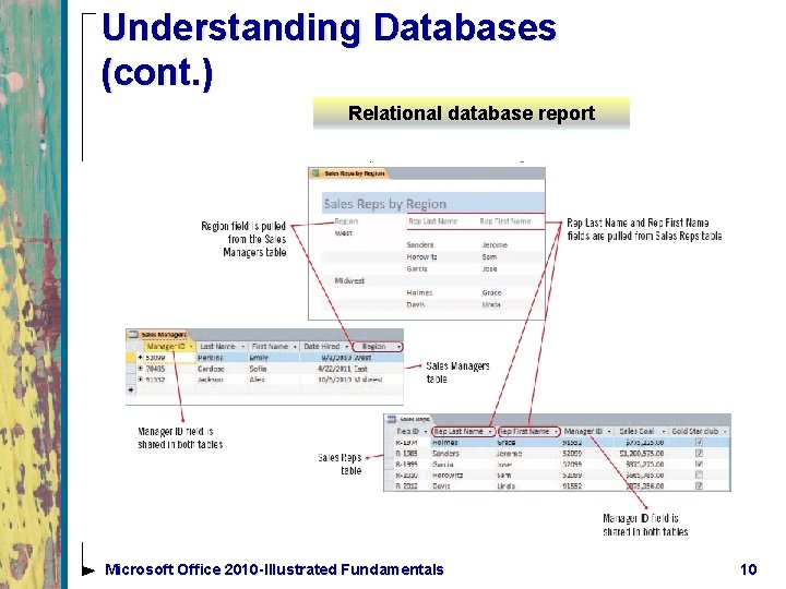 Understanding Databases (cont. ) Relational database report Microsoft Office 2010 -Illustrated Fundamentals 10 