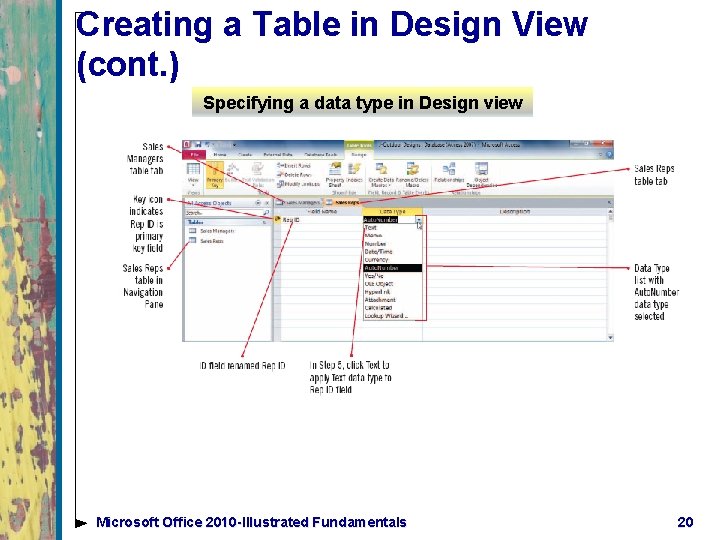 Creating a Table in Design View (cont. ) Specifying a data type in Design