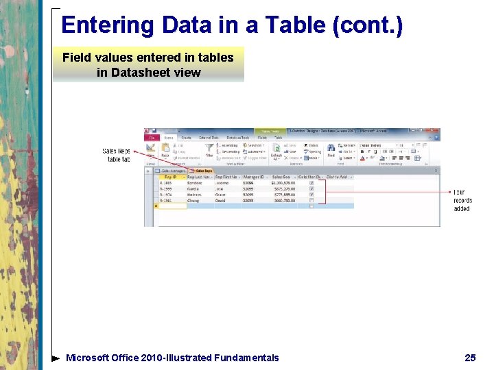 Entering Data in a Table (cont. ) Field values entered in tables in Datasheet