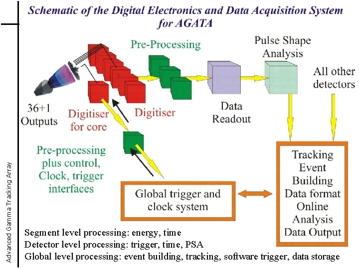 Advanced Gamma Tracking Array Segment level processing: energy, time Detector level processing: trigger, time, Advanced Gamma Tracking Array Segment level processing: energy, time Detector level processing: trigger, time,