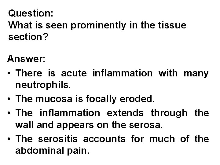 Question: What is seen prominently in the tissue section? Answer: • There is acute Question: What is seen prominently in the tissue section? Answer: • There is acute