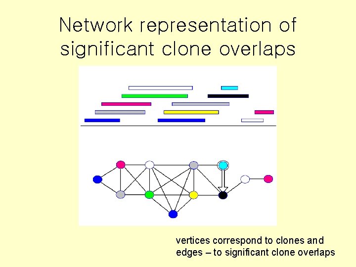 Network representation of significant clone overlaps vertices correspond to clones and edges – to