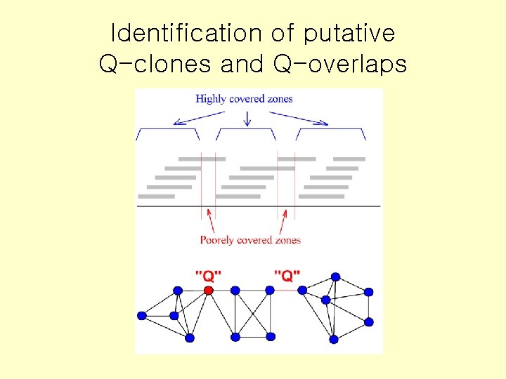 Identification of putative Q-clones and Q-overlaps 