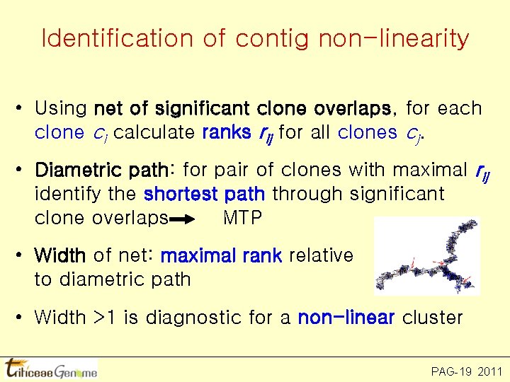 Identification of contig non-linearity • Using net of significant clone overlaps, for each clone